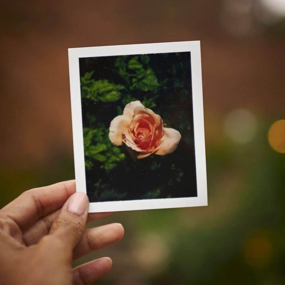 ハル・ベリーさんのインスタグラム写真 - (ハル・ベリーInstagram)「Nature does not hurry, yet everything is accomplished. 🌹 #MiniMoments」3月15日 0時47分 - halleberry