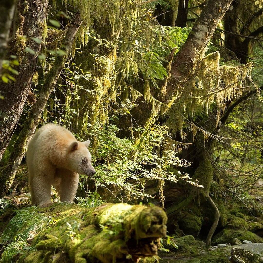 National Geographic Travelのインスタグラム