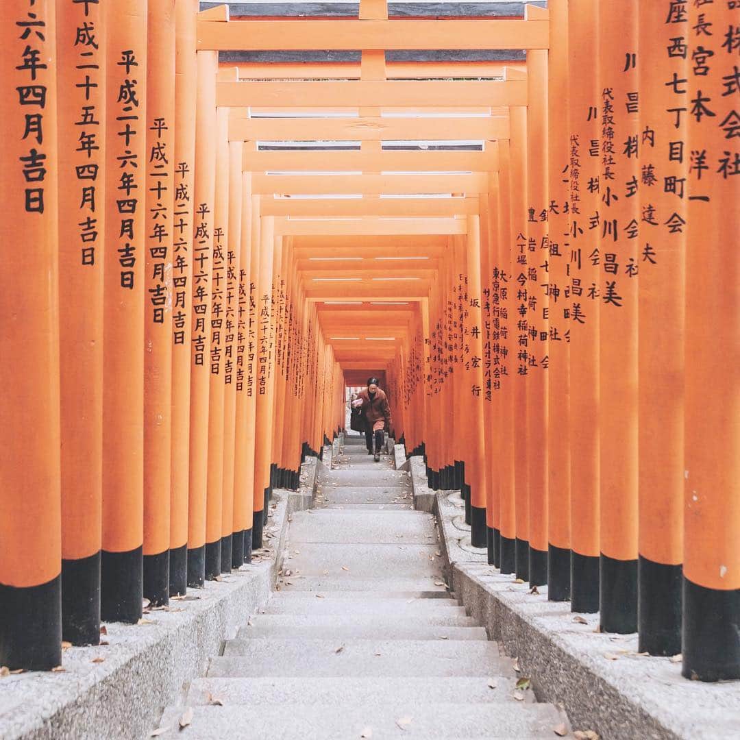 DHC Skincareさんのインスタグラム写真 - (DHC SkincareInstagram)「#TravelThursday 📍Fushimi Inari Shrine 伏見稲荷大社 _ Inari Shrine is famous for its thousands of vermilion torii gates, which trail behind its main buildings. The trails lead into the wooded forest of the sacred Mount Inari.✨ #Japan #JapanTravels #DHCisjbeauty」3月15日 1時17分 - dhcskincare