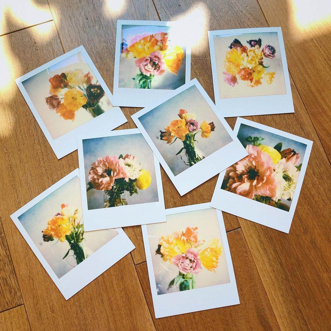 石野千尋のインスタグラム：「Favorite flowers and Polaroid SX-70 🎞 03.11 #mybirthday . ひとつ歳を重ねました🎂 . 元気で写真を撮っていられること、続けていられることに感謝して。日々を丁寧に、大切に過ごしていきたいと思います。 . みなさん、いつもありがとう☺️ . この季節の可愛らしい色合いのお花たちを、 大好きなSX-70で撮影しました💐 . #0311 #thankyou #sx70 #polaroid #🌷」