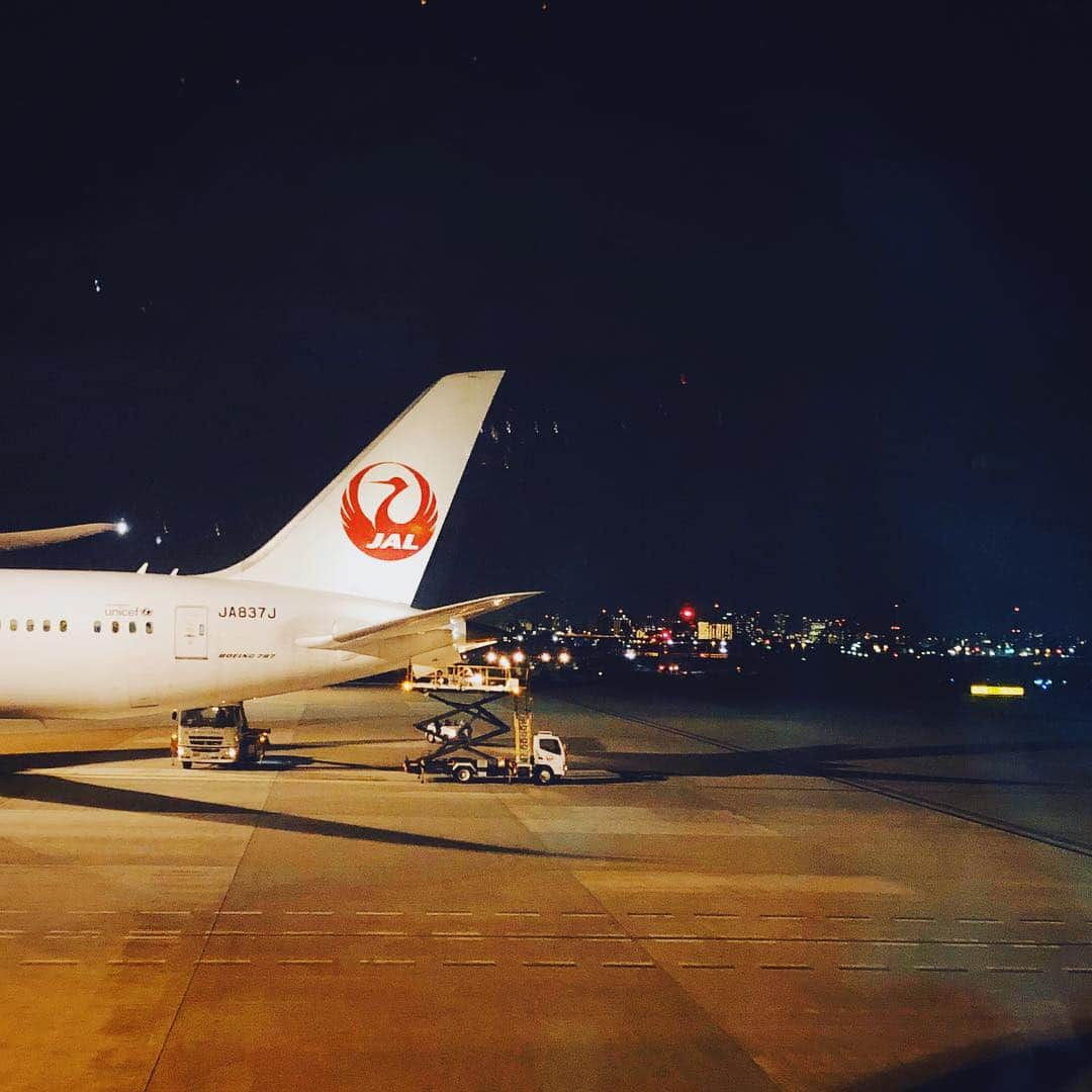 石野千尋さんのインスタグラム写真 - (石野千尋Instagram)「BYE BYE JAPAN 🇯🇵 ✈︎ 🇰🇷 今年初の飛行機！行ってきます！ . お仕事です📸♡ . #airport #haneda #flight #jal #jgc #travel #trip #photographer #work #fop #flyjal #マイラー #✈︎」3月15日 2時13分 - chihiroishino