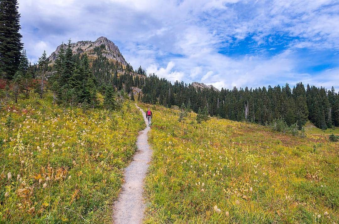 Ricoh Imagingさんのインスタグラム写真 - (Ricoh ImagingInstagram)「Our #teampentax fan @s.d.sea_photography is off on an adventure!  #pentax #ricohimaging #adventurephotography #hiking #washington #photography」3月15日 2時20分 - ricohpentax