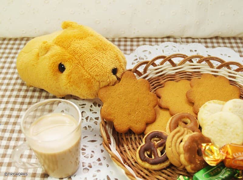 カピバラさんのインスタグラム：「今日はビスケットの日🍪 おもわずビスケットをサクサク…  #カピバラさんと一緒  #カピバラさん #kapibarasan #水豚君 #ビスケット #スイーツ  #sweets」