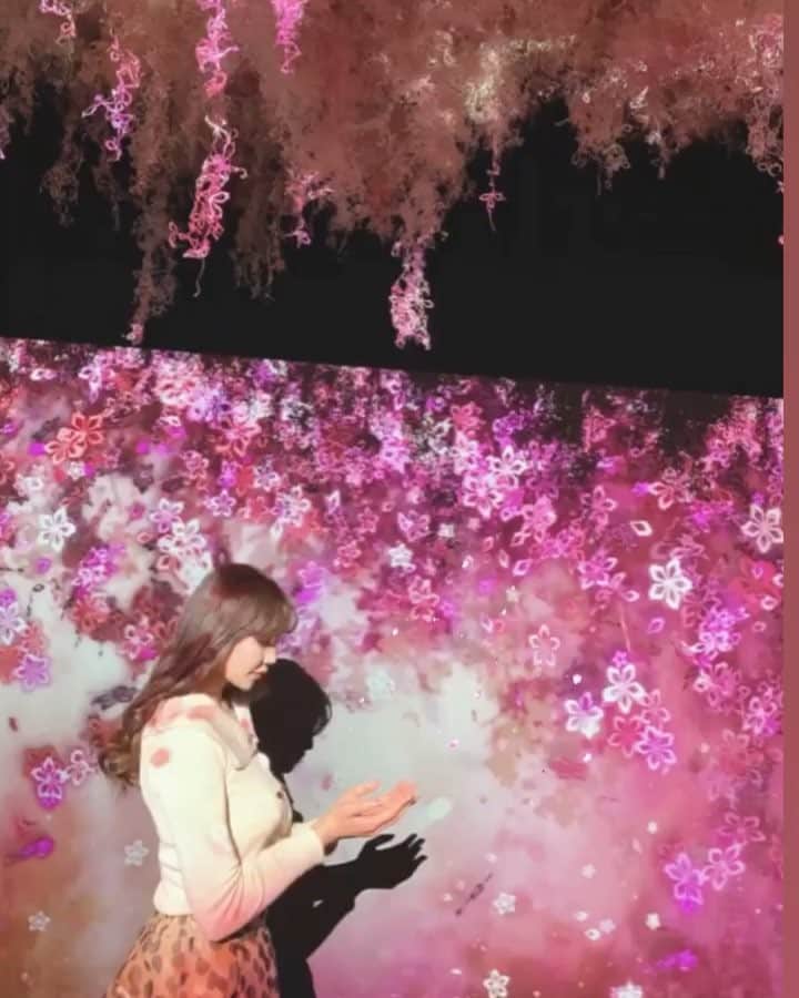 のインスタグラム：「＊ 春はすぐそこ🌸 今年も友達と お花見したいなぁぁぁ💗  #me#photooftheday #instadaily #iphoneonly #instagood #bestoftheday #picoftheday #photography #instagramers #like4like #l4l #follow #followme #tagsforlike#photo#japanese#japanesegirl#tokyo#selfie#fashion#liketolike#photospot#likesback#likeme#팔로마#좋다#일본#flowerbynaked#cherryblossom#flower」