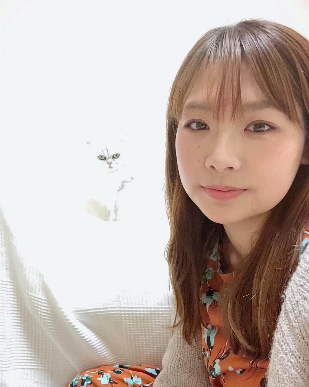 のインスタグラム：「4回目のインスタライブ〜 今日も本当にありがとう！！ . . . 途中くうちゃん乱入💕 低音ボイスのインスタライブ〜w 昨日のブログでの今日だから、ご心配おかけしまして、 でもワタシ本当に元気ですー！！ . というわけで、 また次回〜！ . . #しろねこ #にゃん霊写真  #cat  #チンチラシルバー  #くう  #インスタライブ」