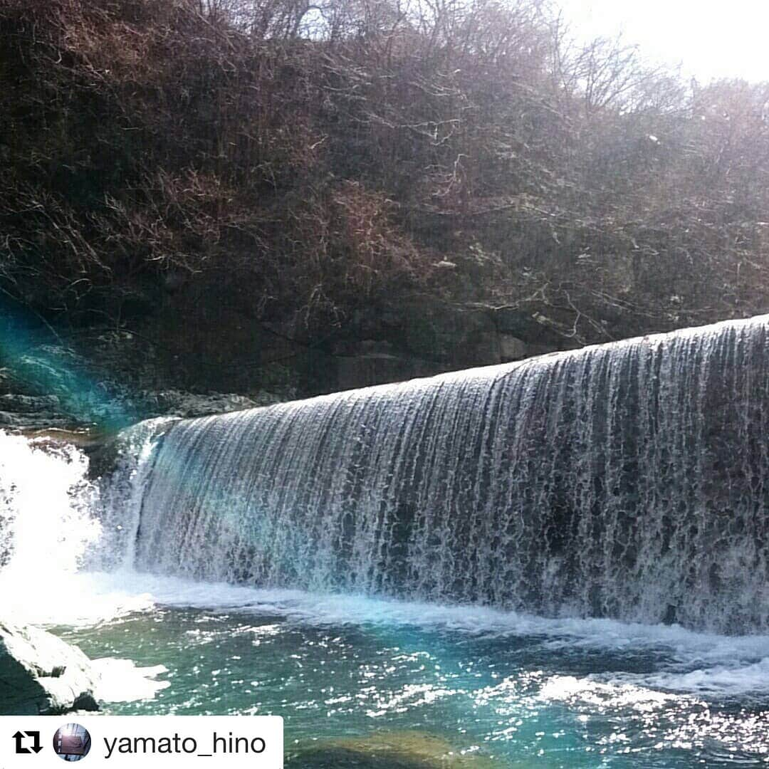 西条市さんのインスタグラム写真 - (西条市Instagram)「#Repost @yamato_hino with @get_repost ・・・ 今週も癒されに渓へ。 前日の雨でかなり増水してましたが、 なんとか歩けました。 歩いてたら汗かくほど暖かい☀ 数はいまいちでしたが、 サイズ的には満足かな🎶 まさかこの時期ここで尺イワナが出るとは！✨ #愛媛 #西条 #加茂川 #river #釣り #渓流 #fishing #trout #アマゴ #イワナ #尺イワナ #石鎚山 #nature #lovesaijo 「あまご解禁」 西条市の加茂川では、2/1にあまご漁が解禁になり、釣り人がたくさん訪れています🐟 去年、塩焼きを食べさせてもらったけどめちゃおいしかったナァ😋  #landscape #絶景 #日本の絶景 #光と影 #青空 #sky #自然美 #雪山 #四国山地 #石鎚山系 #フライフィッシング #ルアー #渓流釣り  釣りをされる方、詳細は#加茂川情報WEBサイト へ٩( ‘’ω’’ )و」2月28日 20時37分 - lovesaijo