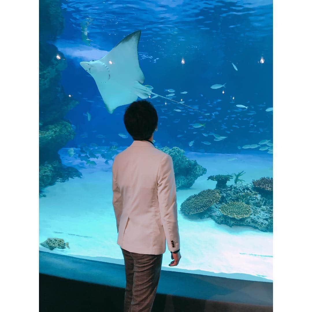 TBSアナウンサー公式さんのインスタグラム写真 - (TBSアナウンサー公式Instagram)「🐠こんばんは^_^喜入友浩です！🐠 TBSアナウンサーによる朗読会「A'LOUNGE」が池袋サンシャイン水族館で行われました！  まさに五感に響く空間…大きな水槽の目の前で「人魚姫」を朗読しました。100人以上集まったお客様にも拍手で参加していただき、会場は一体感に包まれていました。  斎藤哲也アナは 海の王 外山惠理アナは 魔女 上村彩子アナは 人魚姫 私、喜入は 王子の目線から一つの物語をリレー形式で繋ぎました。  この朗読会は今回で3回目。 プロデュースしている堀井アナ曰く「朗読の文化を楽しむ」ことがテーマということで、今夜も、読む側と聴く側が朗読を通して楽しい時間を共有できたと思います。  次回の朗読会もお楽しみに！  #tbs #tbs公式 #tbs_annogram  #tbsアナウンサー公式インスタグラム  #tbsアナウンサー #tbsアナグラム #alounge #朗読会 #tbsradio  #サンシャイン水族館 #人魚姫 #斉藤哲也 #堀井美香 #外山惠理  #上村彩子 #喜入友浩  #fromtbs」2月28日 22時39分 - tbs_annogram