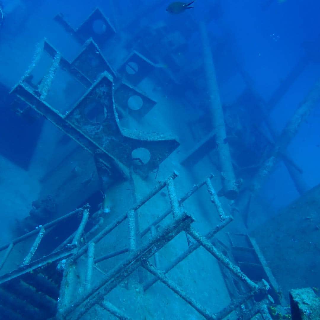 蜷川べにさんのインスタグラム写真 - (蜷川べにInstagram)「ケイマン諸島の沈船。キティウェイク。地形派ダイバーとしては沈船巡りはたまらんかったです。」3月1日 19時41分 - ninagawabeni