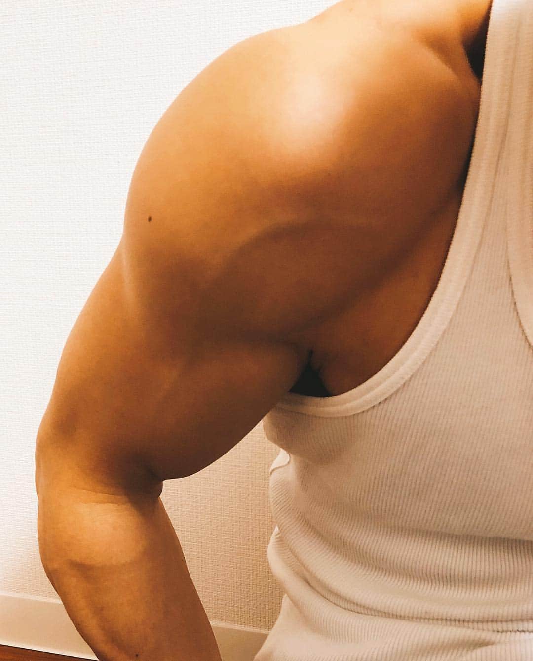 青柳塁斗さんのインスタグラム写真 - (青柳塁斗Instagram)「着痩せするタイプです #workout  #training #fitness  #bodymake #sport  #タンパク質 #protein  #shoulder  #biceps  #triceps #diet #gym #トレーニング #肩メロン #肩メロンへの道 #ワークアウト #筋トレ  #フィットネス」3月1日 20時51分 - ruitoaoyagi