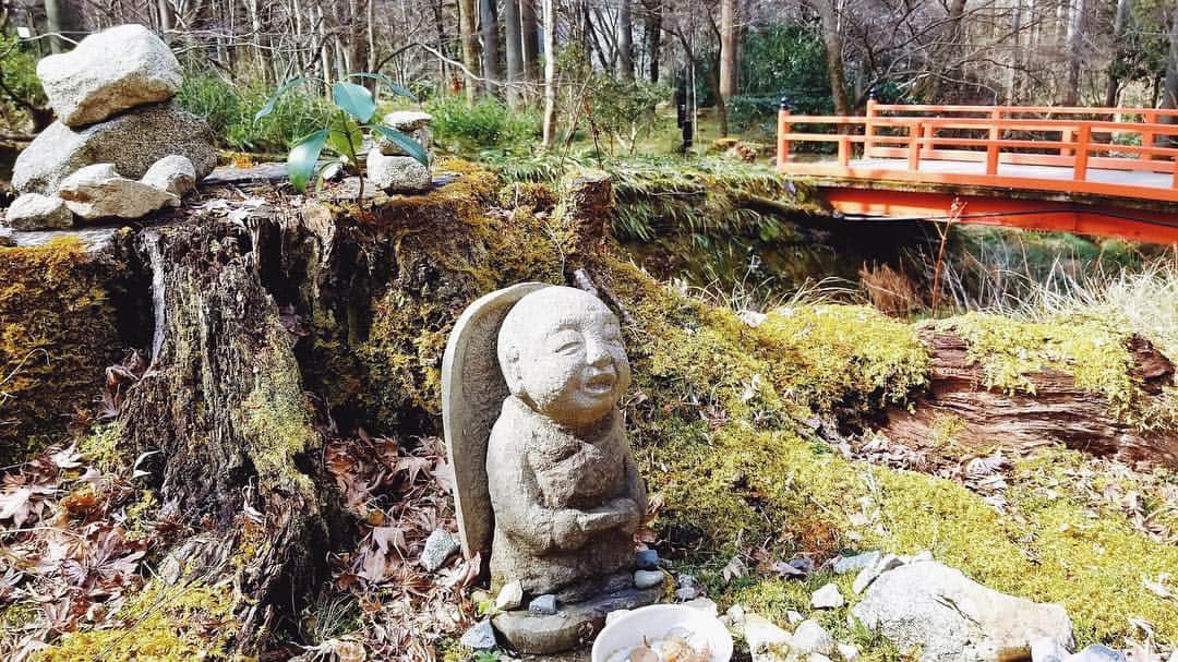 福井千佳のグルメインスタ