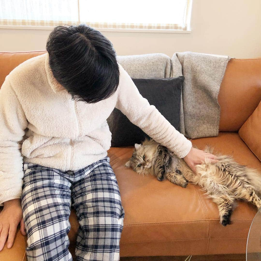 兄弟猫と私と夫の2トムのまいにちさんのインスタグラム写真 - (兄弟猫と私と夫の2トムのまいにちInstagram)「Nice weekend あー、一週間つかれたわぁ 無職もそこそこ疲れんねん」3月2日 11時16分 - maamiff