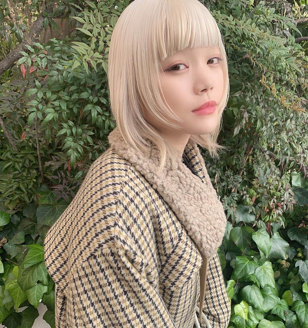 高橋有紀のインスタグラム：「チッチメンテナンス、またまた白にしたよ チッチかわいいなぁ忙しいチッチと色んなごはん屋さんの約束してる🍛🍣 動画はストーリーに！！ #lysa_yuki  #セントチヒロチッチ #bish」