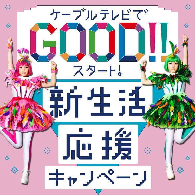 のインスタグラム：「. MIOYAEがイメージキャラクターをやらせて頂いている広告の新バージョン☺︎またまた出演できて嬉しいです☺︎ . #cnci#広告#ケーブルテレビ#双子#ふたご#twins#photography#photographer」