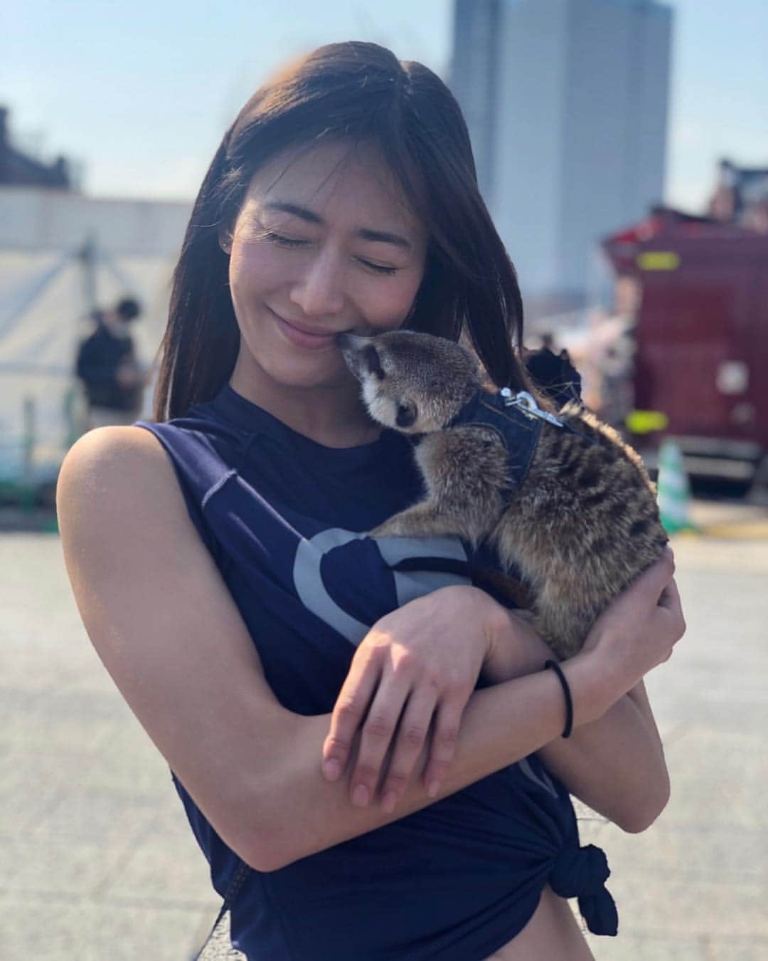 のインスタグラム：「Ughhhh he's too cute😳#meerkat マラソン合間に出会ったミーヤキャット。驚く程甘えん坊さんで、言葉じゃ表せない程の可愛さにメロメロを通り過ぎて爆発寸前。﻿ ﻿ 小さいとこが落ち着くみたいでずっと私のおへその中に入ろうとしてたけど（笑）さすがに入らないよ🤣愛おしすぎて、動物好きには堪え難い。。﻿ ﻿ 飼い主さんに沢山愛されててとても幸せそうなゴンちゃんでした☺️✨﻿﻿ ﻿﻿ #CPFU #ミーアキャット #CHAMPION100」