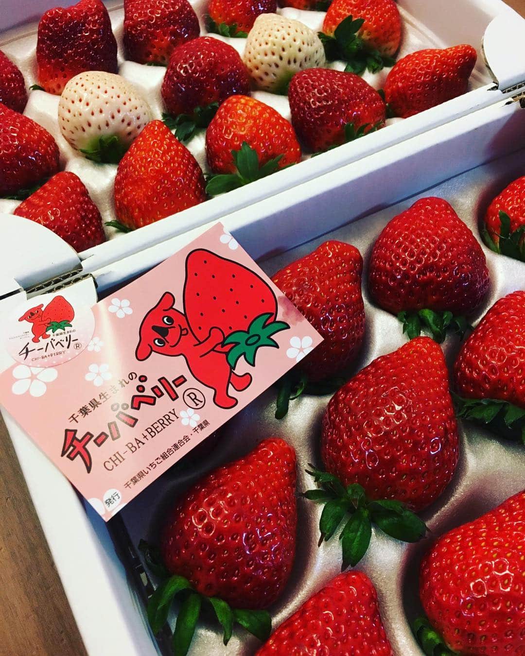 石井講祐のインスタグラム：「疲れた身体にチーバベリー🍓🍓 #チーバベリー #チーバベリー大使」