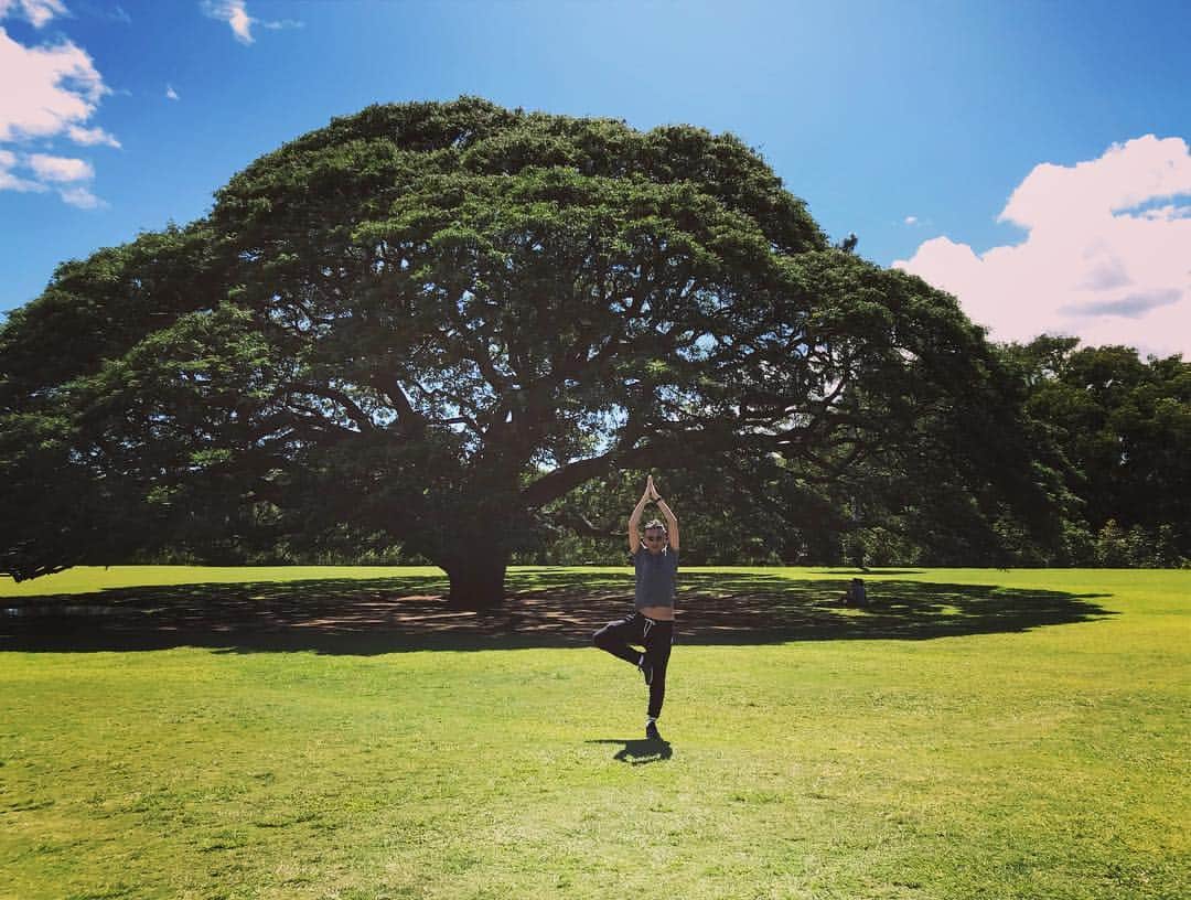 加藤章太郎さんのインスタグラム写真 - (加藤章太郎Instagram)「この木なんの木〜  #tree#bluesky#beautiful#yoga#moanaluagardens」3月3日 11時35分 - __shotaro__