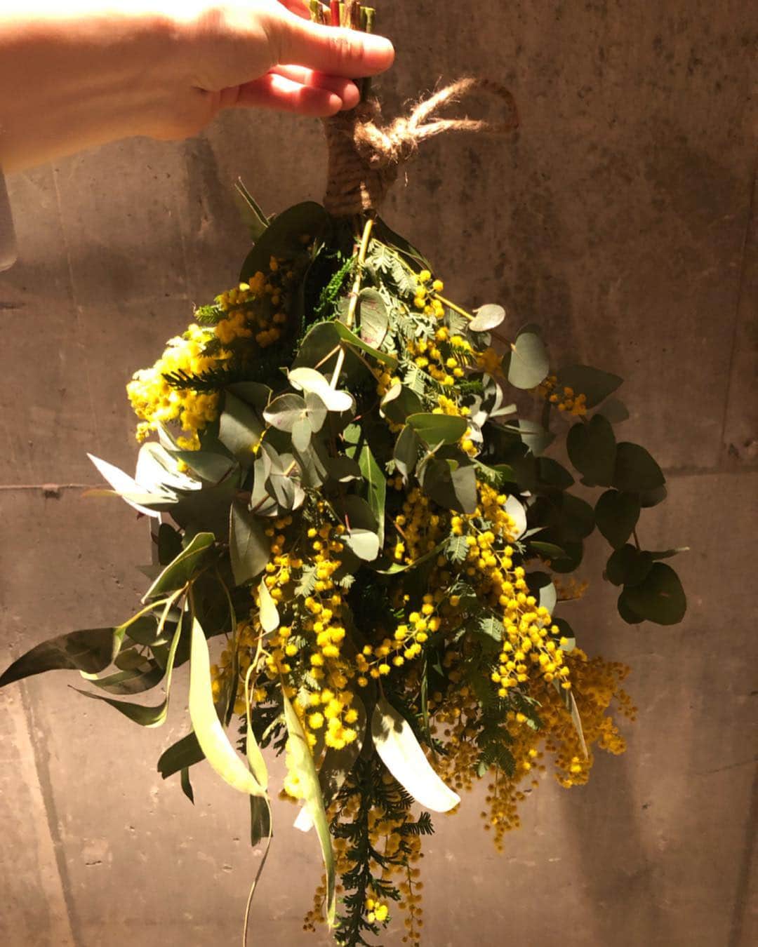 加藤愛さんのインスタグラム写真 - (加藤愛Instagram)「. 3月8日はミモザの日♪ 不器用な私たちでも 華やかなスワッグが出来ました！ これひとつで 部屋が華やかになるね💐❤︎❤︎ #mimosa#flower#workshop  #春#ミモザ#スワッグ #いなば生花店  @toooooru4187 さん ありがとうございました☺️」3月3日 9時11分 - kitkatoai