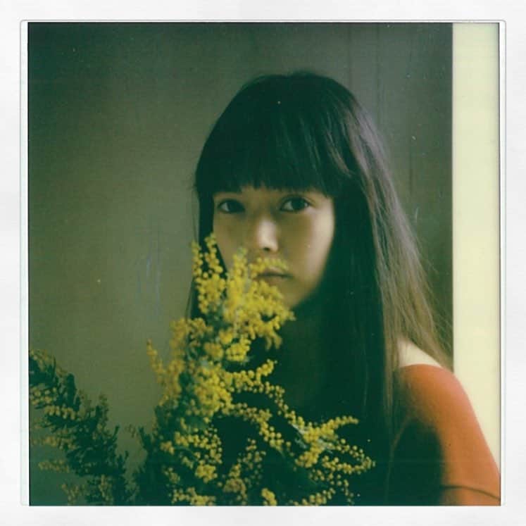 夏子さんのインスタグラム写真 - (夏子Instagram)「ミモザの季節になっていてはっと。  #sx70」3月3日 21時06分 - natsuko93_official