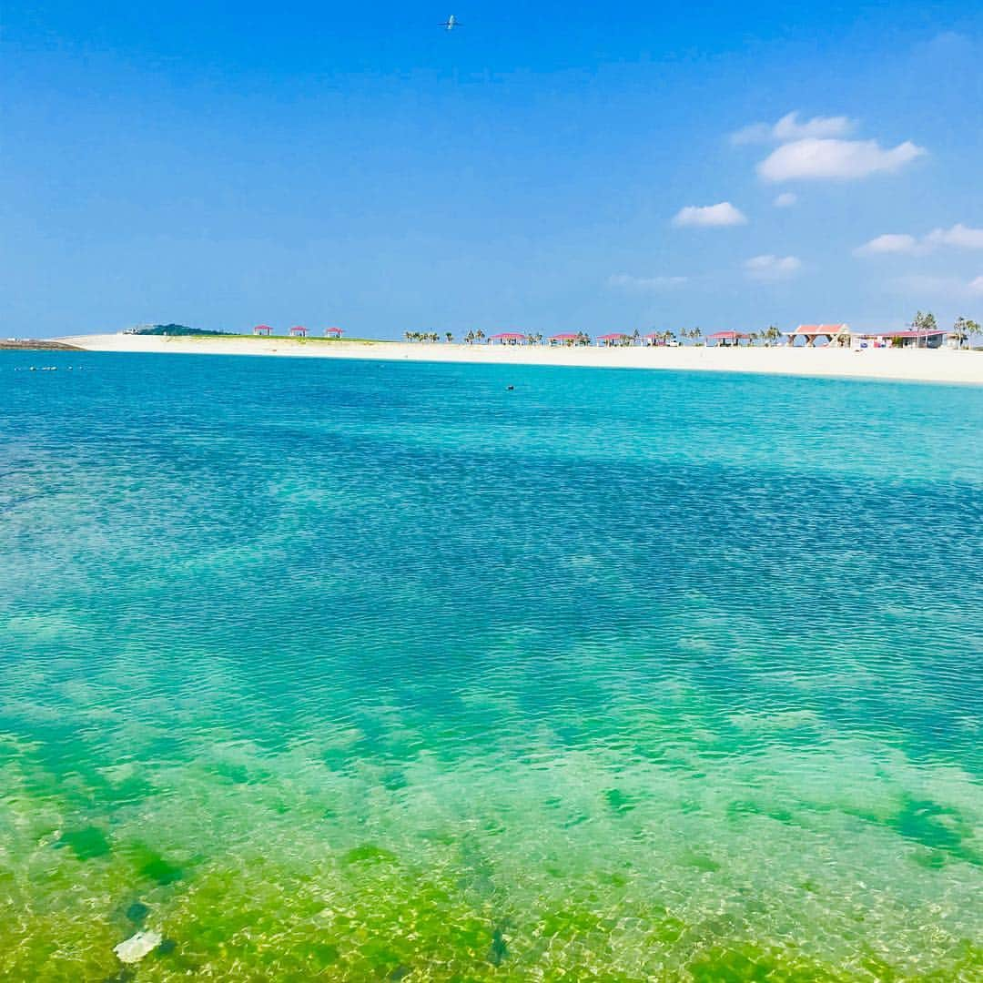 西澤由夏さんのインスタグラム写真 - (西澤由夏Instagram)「‪沖縄出張から帰ります✈️‬ ‪沖縄テレビさんでの生放送を終えて、びっくりな出来事が…！‬ ‪なんと、学生時代に同じアナウンススクールに通っていた小林美沙希アナに偶然会いました✨‬ ‪一緒にアナウンサーを目指していた仲間が全国で頑張っていると思うと、心強いです。‬ ‪会食で行った泡盛バーも素敵でした🍶‬」3月3日 13時07分 - yknszw