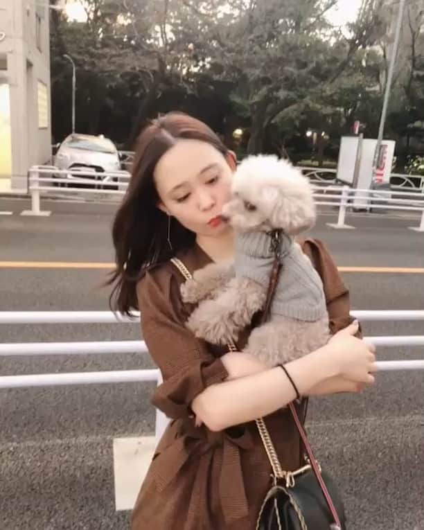 本田しおりのインスタグラム：「人生はそう上手くはいかないね」