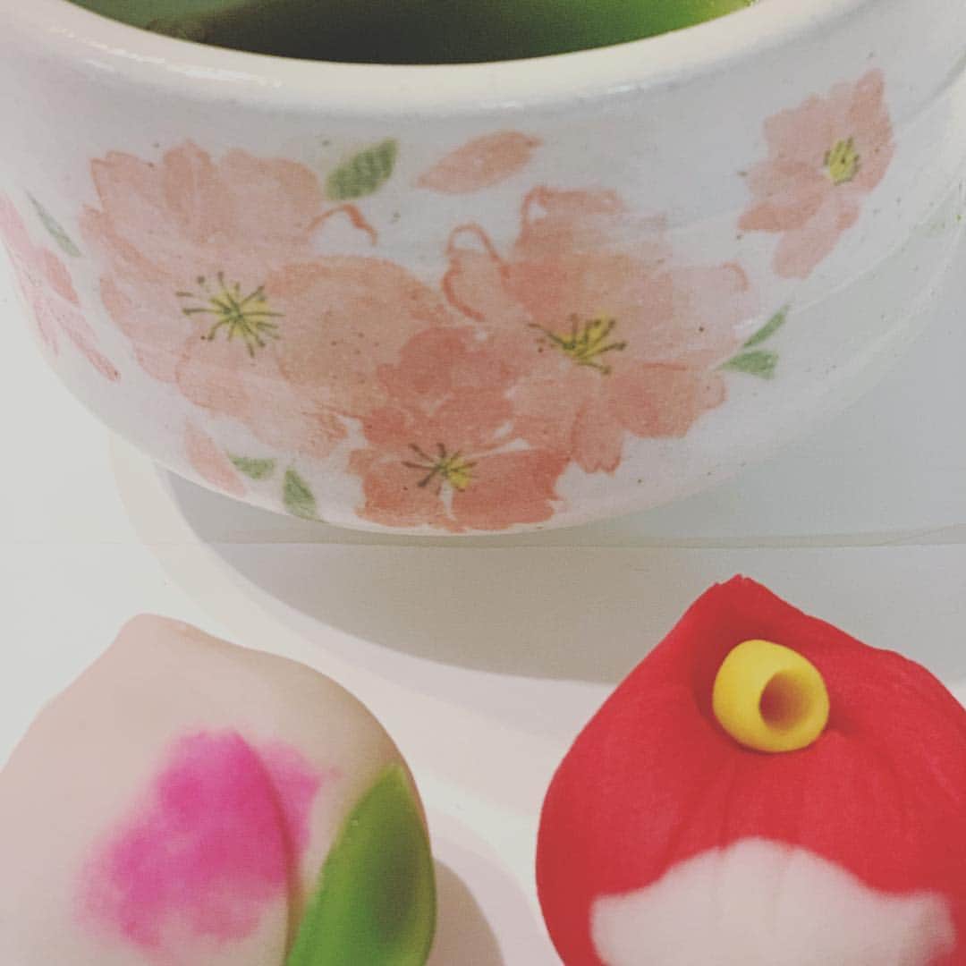 相川七瀬さんのインスタグラム写真 - (相川七瀬Instagram)「桃の節句なので和菓子屋さんで ステキな生菓子を選んで来ました。 娘がたててくれたお抹茶で頂きます。 #お雛様 #桃の節句 #お抹茶」3月3日 18時52分 - nanasecat