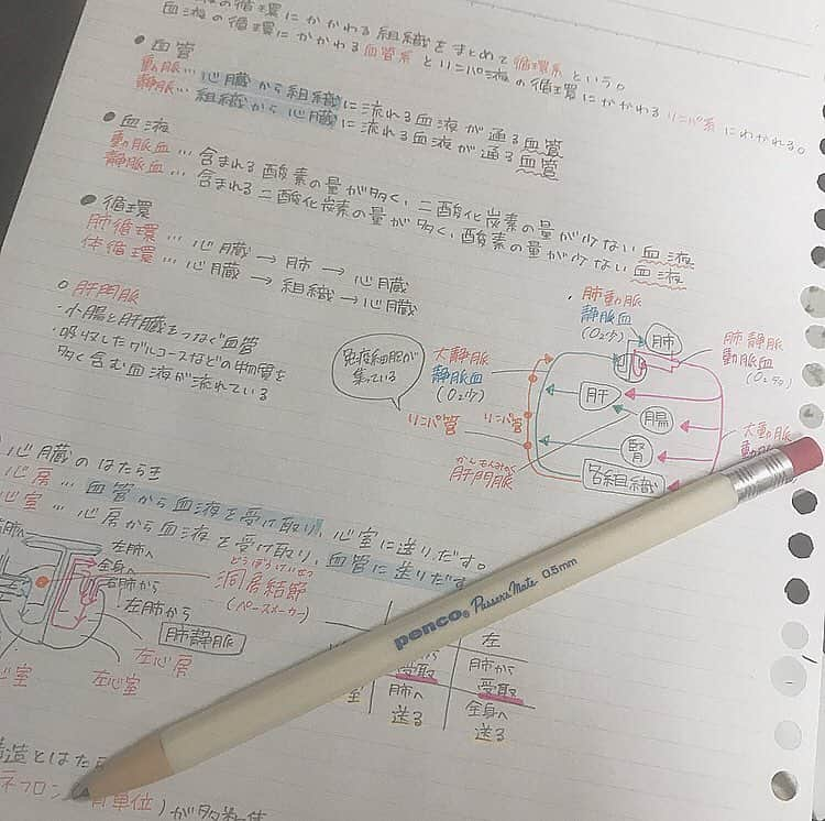 遠藤みゆさんのインスタグラム写真 - (遠藤みゆInstagram)「. テスト勉強〜( ; ; )( ; ; )( ; ; ) 勉強嫌いだしやりたくないけど 2年生最後の、平成最後の定期テストだから頑張るよ٩(°̀ᗝ°́)و . しかもこのペンは福岡でひなと赤坂とお揃いで買ったんだ〜( *ˊᵕˋ)❤︎ . 学生の皆さん一緒に頑張りましょうっ(๑•̀ •́)و✧ . #勉強 #勉強垢 #勉強垢さんと繋がりたい #高2 #0303students #文房具 #勉強ノート #テスト期間 #テスト勉強 #study #studyaccount #stationery #ノートの中身」3月3日 19時02分 - endoomiyu