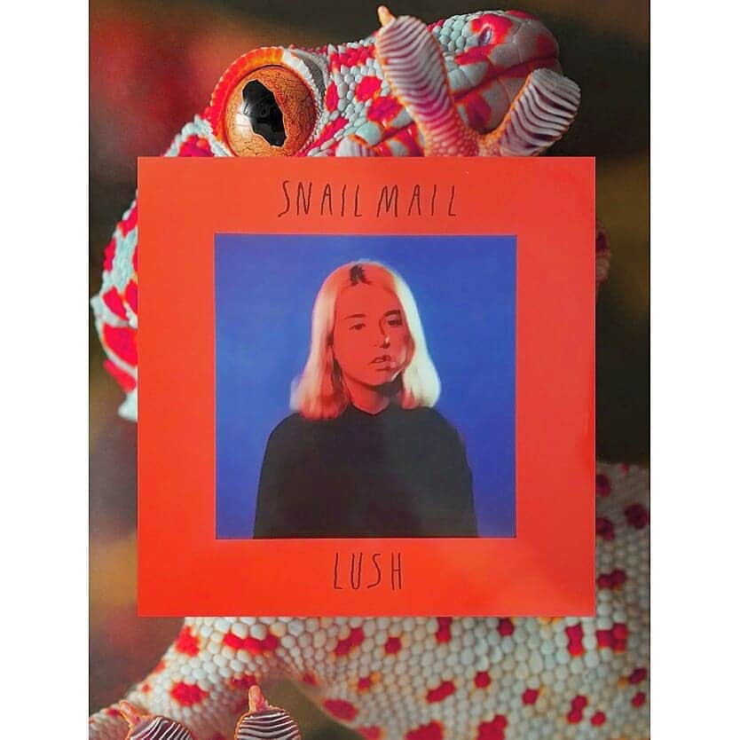 峯田和伸さんのインスタグラム写真 - (峯田和伸Instagram)「Lush / Snail Mail ('18)  おはようございます峯田です。最近は慌ただしく時間が過ぎていく毎日でなかなか買い物もできません。レコードが買えません。洋服のローテーションもままなりません。靴下の替えがありません。家政婦さんがほしいです。 #snailmail  #vinyl #おはようbgm」3月4日 10時16分 - mine_minet