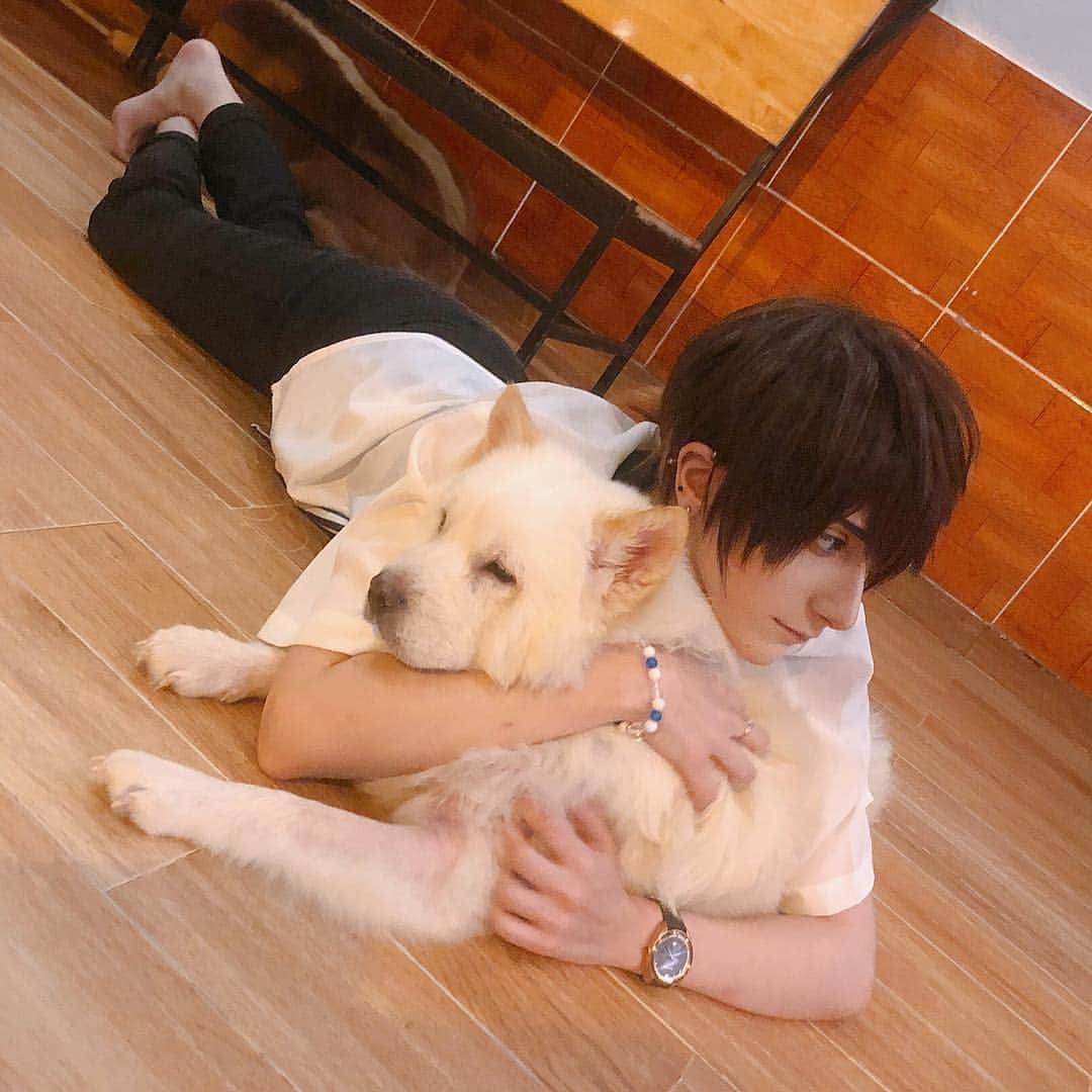 ナイトさんのインスタグラム写真 - (ナイトInstagram)「More photos from Hachiko Coffee Dog Café in Vietnam! Take me back there, I miss all the good boys and girls 😭💕 #dogcafe #dog #hachikocafe」3月4日 12時15分 - knitecoser