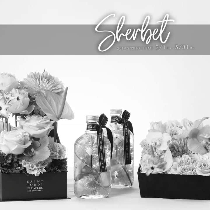 のインスタグラム：「. フラワーショップ 【SAINT JORDI FLOWERS THE DECORATOR（サンジョルディフラワーズ ザ・デコレーター）】 . 2019 SPRING THEME 《Sherbet-男が際立つ甘美でクールな世界》 . この春、サンジョルディフラワーズ ザ・デコレーターが提案するシーズナルトレンドテーマは“SHERBET”。 ただ甘いだけじゃない、クールな印象とのコントラストが、新しい春の魅力を呼び覚ます。 . https://www.saintjordiflowers.com/event/sherbet/ * * * #saintjordiflowers  #サンジョルディフラワーズ  #flowershop  #フラワーショップ  #花屋  #花贈り  #gift  #ギフト  #flowergift  #フラワーギフト  #プレゼント  #期間限定  #flowerbox  #フラワーボックス  #boxflower  #ボックスフラワー  #bouquet  #bouquets  #ブーケ  #bridalbouquet  #ブライダルブーケ  #weddingbouquet  #ウェディングブーケ  #herbarium  #ハーバリウム  #arrangement  #アレンジメント  #花のある暮らし  #花のある生活  #flowerstagram」