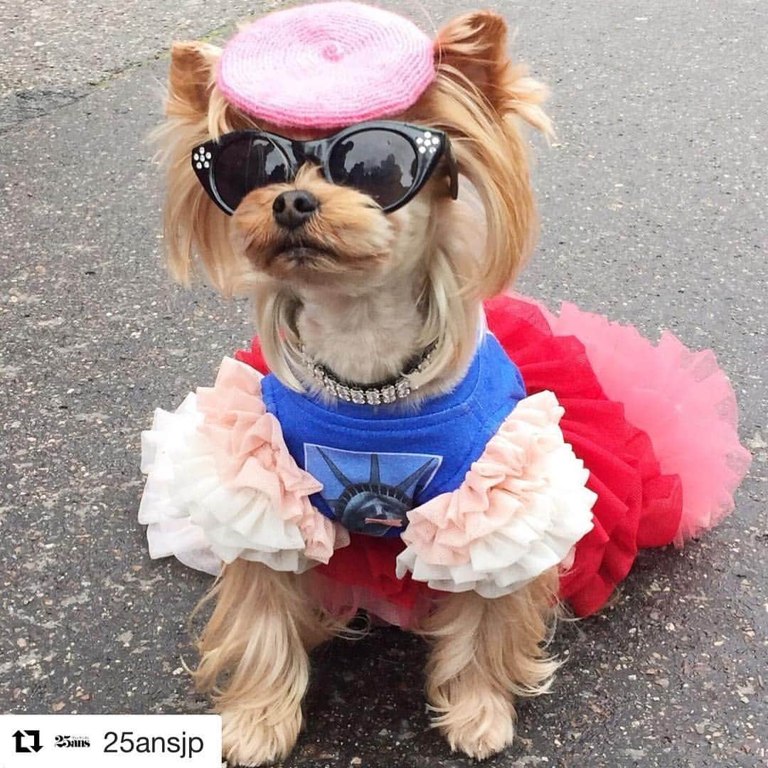 25ans SHOPのインスタグラム：「@25ansjp  ファッション班がパリコレ会場前で見つけた #エレdog @littlelolasunshine」