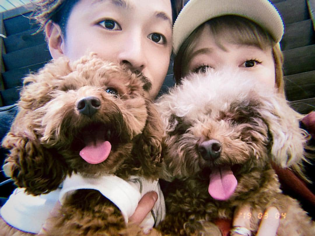 高山直子さんのインスタグラム写真 - (高山直子Instagram)「犬孝行day🐶🐶 今日は絶対海行こう！って思ってたのにまさかの雨で☔️ 急遽室内ドッグランにしたけど、めっちゃ良かった🐕❤️ 楽しそうな姿見られて大満足！  #恋をしたコロ太 #兄好きなポン太 #家族の時間 #犬のいる暮らし」3月4日 20時13分 - nao_70koro