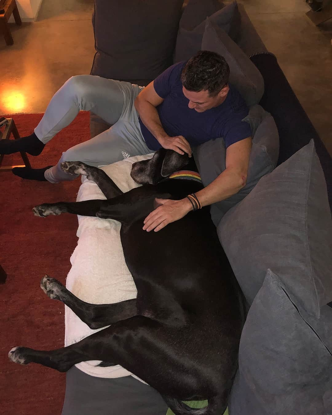 ルーク・エヴァンズさんのインスタグラム写真 - (ルーク・エヴァンズInstagram)「My sofa is big, but Fred the Great Dane is BIGGER! #gentlegiant #peaceful #dogsofinstagram goodnight people x」3月5日 8時08分 - thereallukeevans