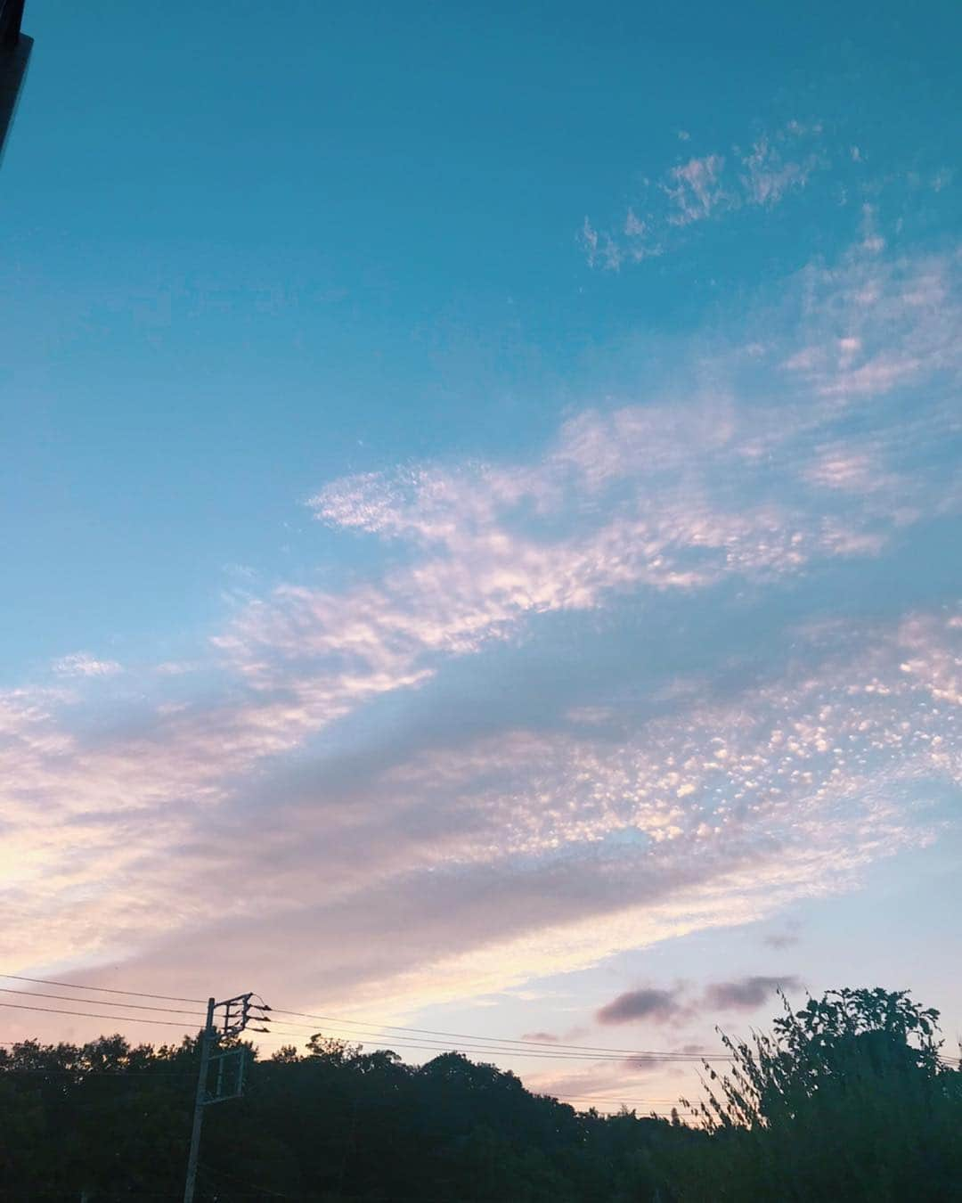 桜庭ななみさんのインスタグラム写真 - (桜庭ななみInstagram)「小説王の撮影の帰り道。 夕方頃に撮影が終わると見れる景色が好きでした‼︎ フジテレビ「小説王」4月22日スタート お楽しみに♡  #小説王」3月5日 8時16分 - nanamisakuraba_official