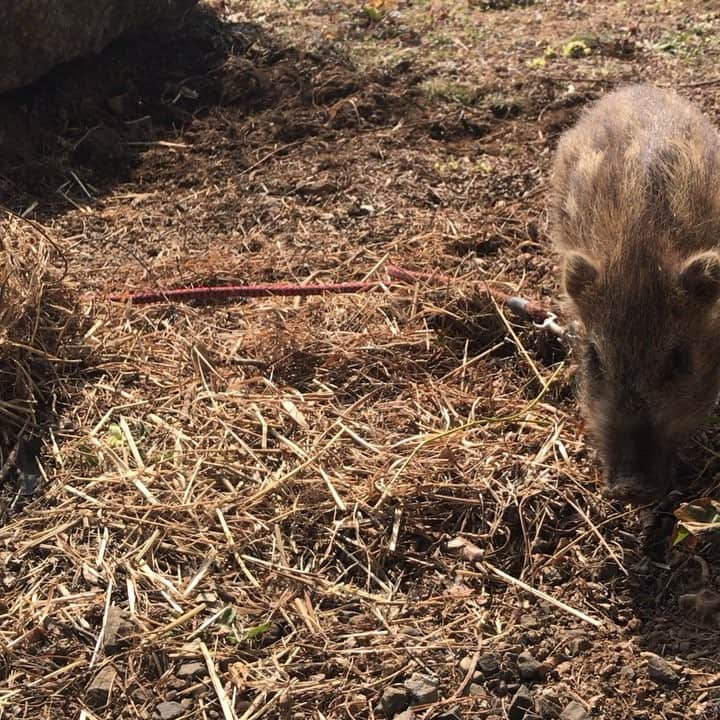 大河壮太のインスタグラム