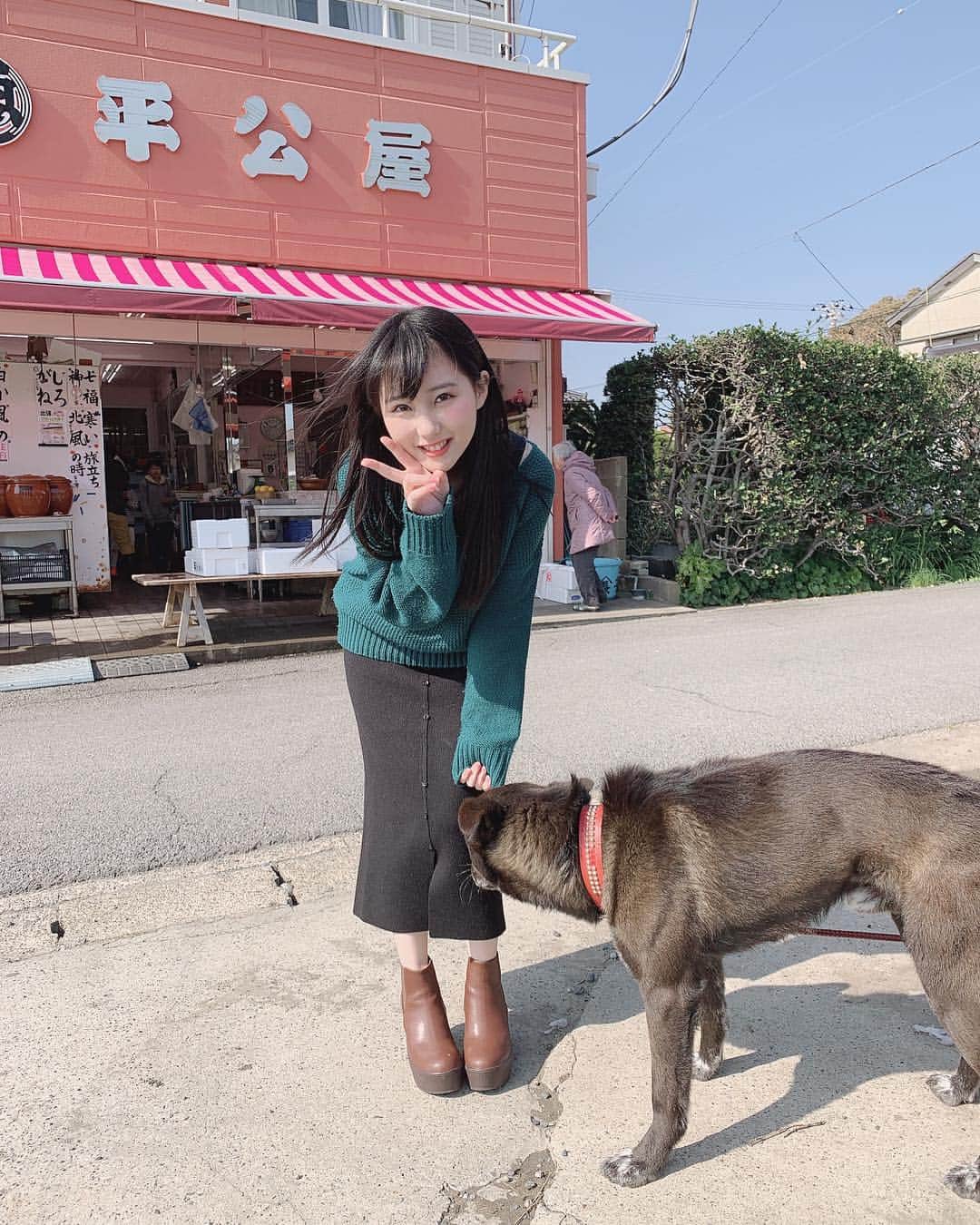 田中美久さんのインスタグラム写真 - (田中美久Instagram)「くんかくんか。🐕 #犬  #撮影後 #遭遇 #犬飼ってるから #凄く #匂い嗅がれました #人懐っこい  #可愛い #浮気バレる」3月5日 14時19分 - mikumonmon_48