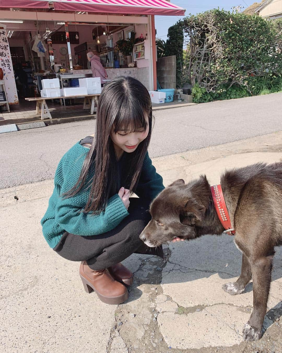 田中美久さんのインスタグラム写真 - (田中美久Instagram)「くんかくんか。🐕 #犬  #撮影後 #遭遇 #犬飼ってるから #凄く #匂い嗅がれました #人懐っこい  #可愛い #浮気バレる」3月5日 14時19分 - mikumonmon_48