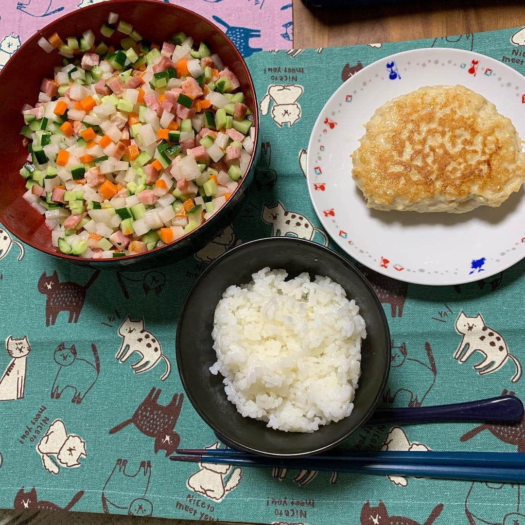 大石真翔のインスタグラム：「#みいご飯 #ヘルシーキューブサラダ #豆腐ハンバーグ #ランチョンマット は母マチコからのプレゼント(ΦωΦ) 猫の顔が険しい。。 それに加えて、痩せろという強い気持ちのこもった #みいご飯 。 頑張ります。」