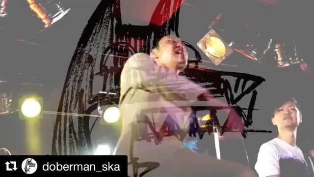 のインスタグラム：「・ パーティーは続くよ◎ ナイスサンデー 踊り狂いに来ちゃえばいいのに!! ピス！  #Repost @doberman_ska ・・・ [LIVE告知動画] . 今週末、東京でLIVEです！ 是非お越しを！ . 3月10日(日)下北沢シェルター　vs Bravo! . WEBチケット &LIVE情報は下記から control-doberman.com/?cat=4 . #doberman_ska #Bravo⁠ ⁠! #pes #ripslyme  #yosukeathome」