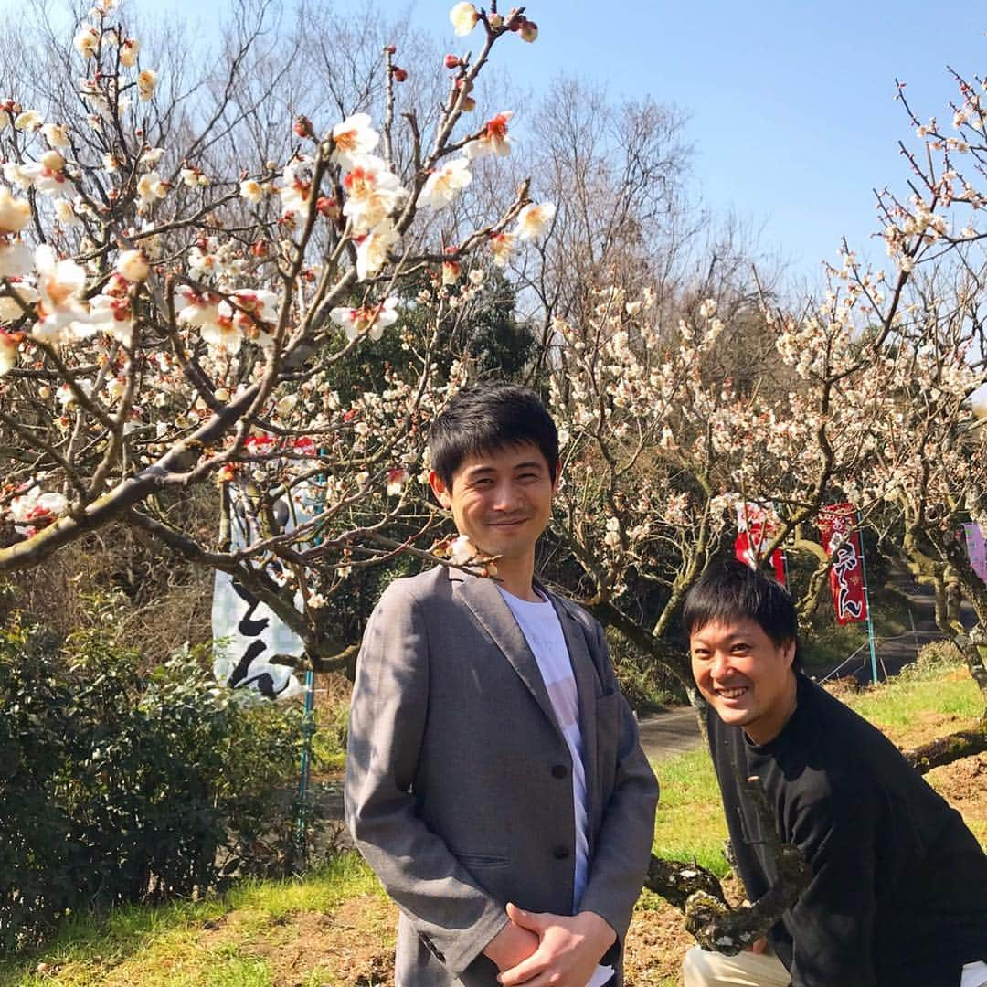 田邊孟德のインスタグラム：「今日は城陽市の青谷梅林に行ってきたの。 10000本も梅の木がある所なの。 すごいの。 行ってみてほしいの。 梅を使った美味しい食べ物もいっぱいあるの。 食べてみてほしいの。 #城陽市 #青谷梅林 #梅大福 #KBS #おやかまっさん #タナからイケダ」