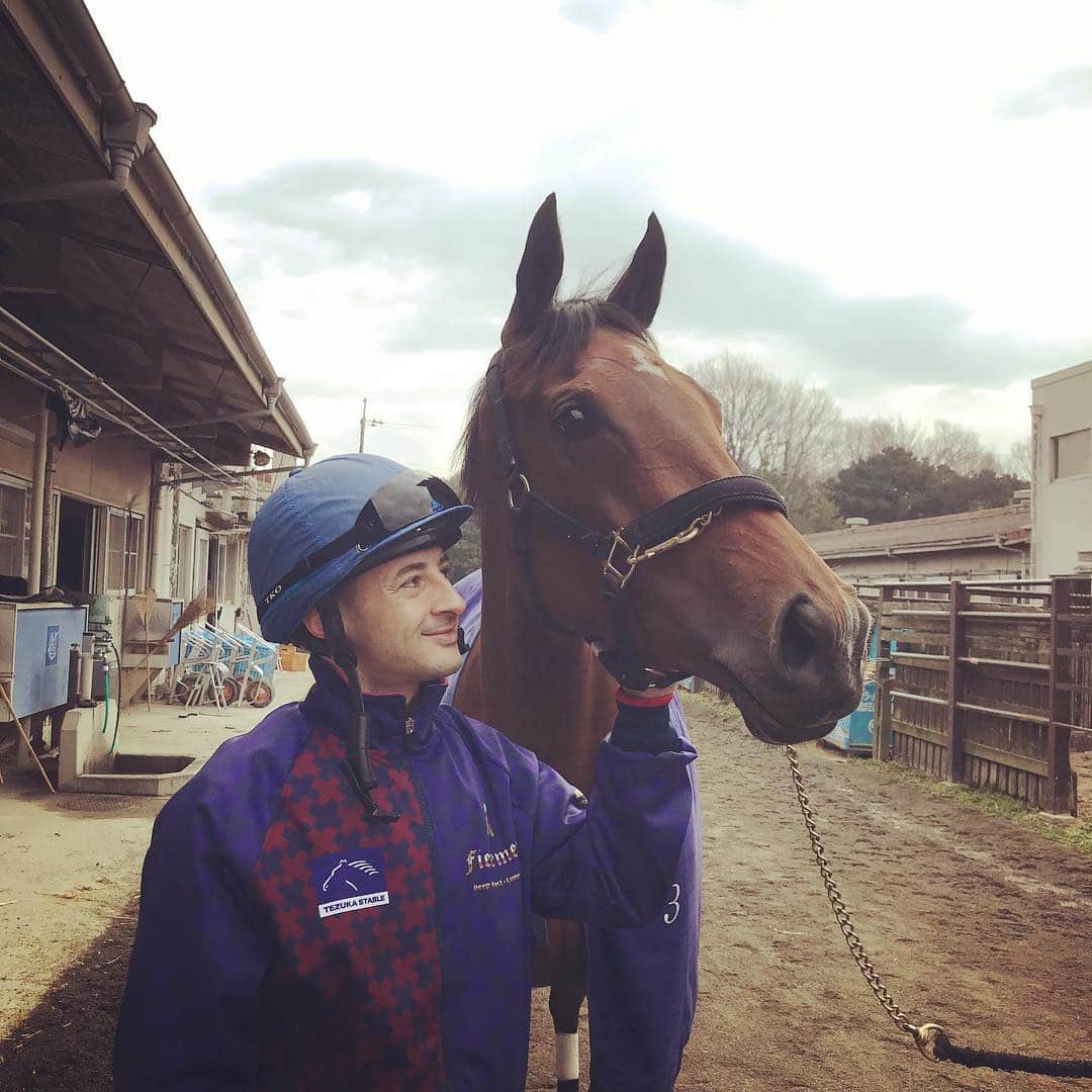 のインスタグラム：「Always look forward ! Toujours regarder devant ! #almondeye#mihotrainingcenter」