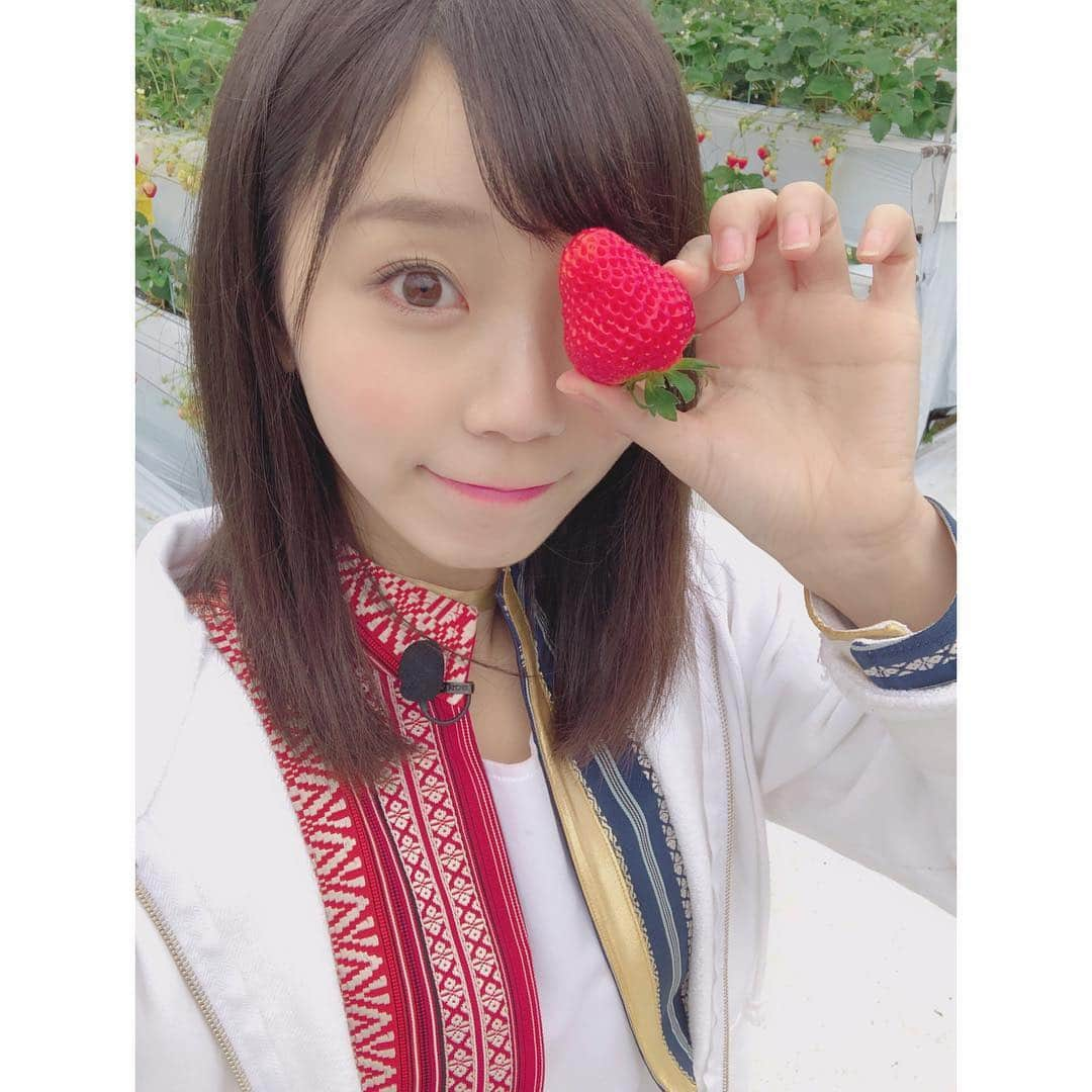 吉川千愛のインスタグラム