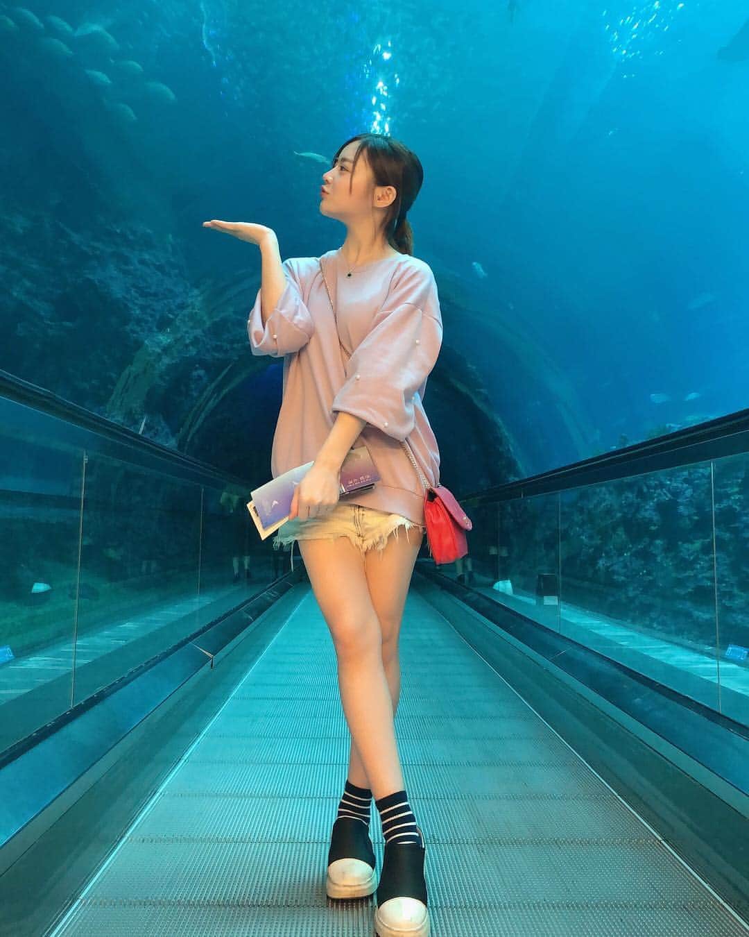 エリナさんのインスタグラム写真 - (エリナInstagram)「대박이다🤩#아쿠아리움 터널 台湾の水族館！！素敵！ #수족관 #대만#台湾#水族館」3月6日 15時00分 - erina_hrn