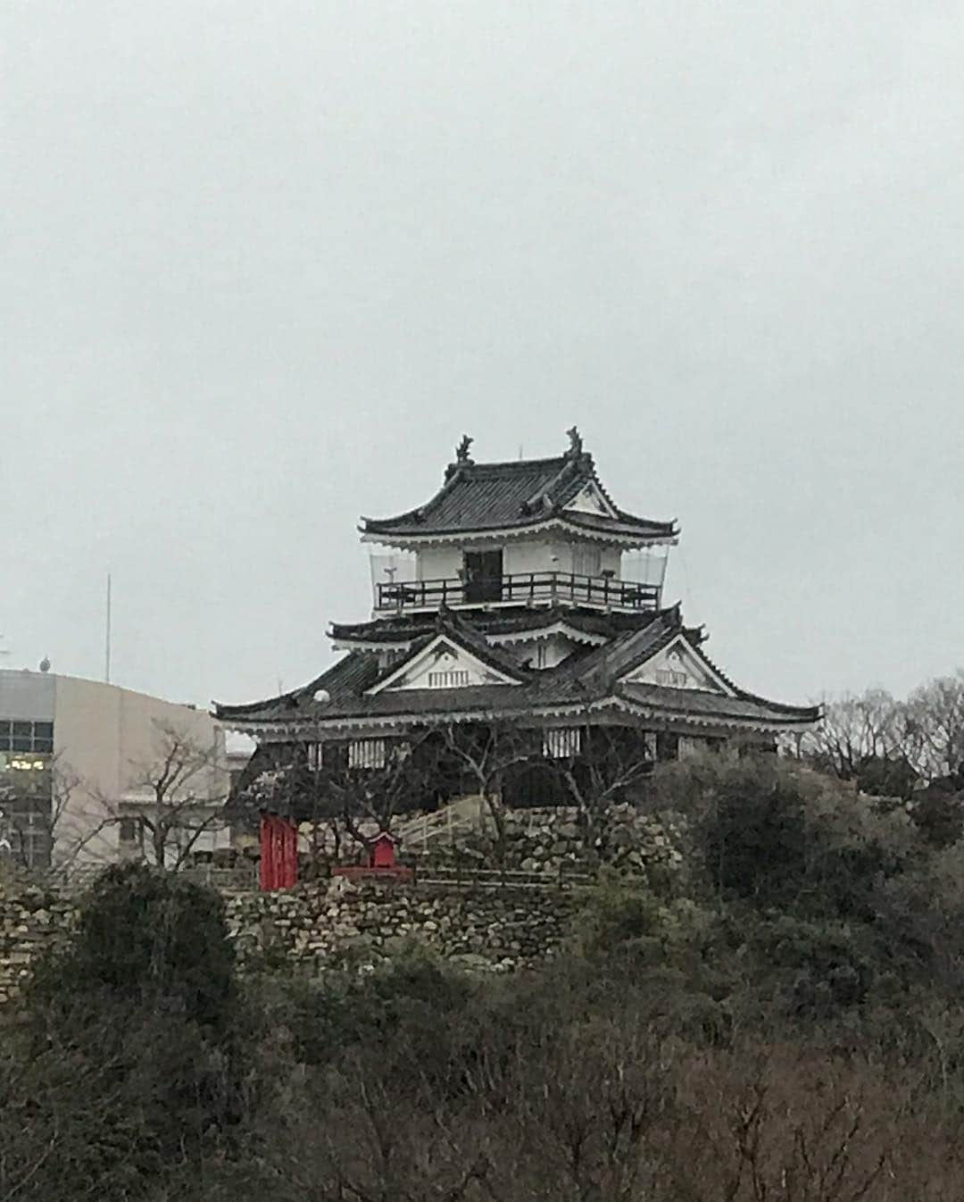 伊藤聡子さんのインスタグラム写真 - (伊藤聡子Instagram)「今日の衣装は華やかで美味しそうなビタミンカラーのスーツでした😄 夕方から浜松へ。 出世城と言われる浜松城を指に乗せて記念撮影📷 #ひるおび#hanaemori #浜松城#伊藤聡子」3月6日 23時56分 - satokoito73