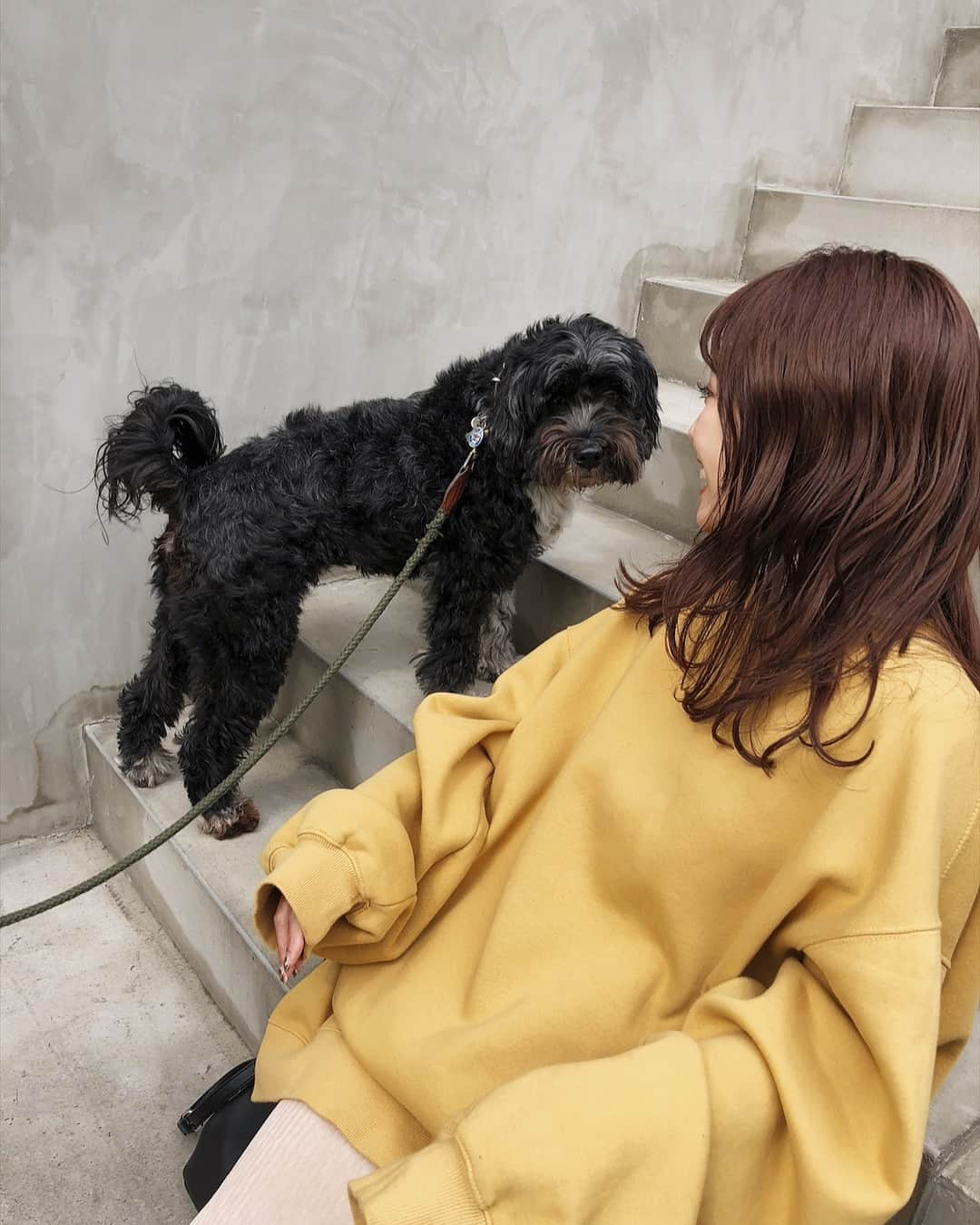 三方美穂さんのインスタグラム写真 - (三方美穂Instagram)「#お散歩中の ハッちゃん🐶 撮影してたら私の隣に来てくれた❤︎ 今日 @amail_official で”doggy dogs wear"発売日だったし、 なんか笑っちゃった☺️ #お利口さん #ハッちゃん #名前が可愛い #またいつか会えるかな」3月6日 17時23分 - mihomikata