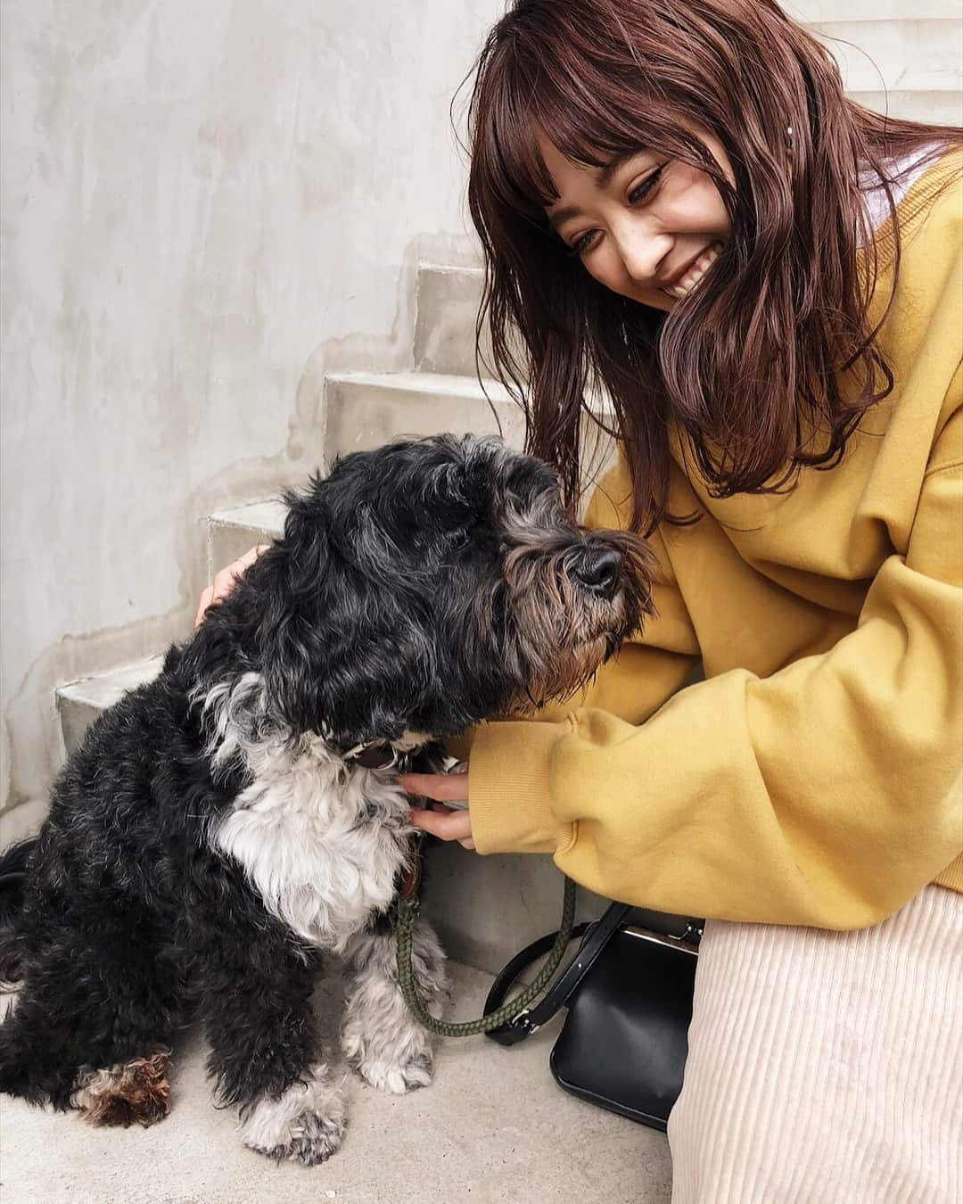 三方美穂さんのインスタグラム写真 - (三方美穂Instagram)「#お散歩中の ハッちゃん🐶 撮影してたら私の隣に来てくれた❤︎ 今日 @amail_official で”doggy dogs wear"発売日だったし、 なんか笑っちゃった☺️ #お利口さん #ハッちゃん #名前が可愛い #またいつか会えるかな」3月6日 17時23分 - mihomikata