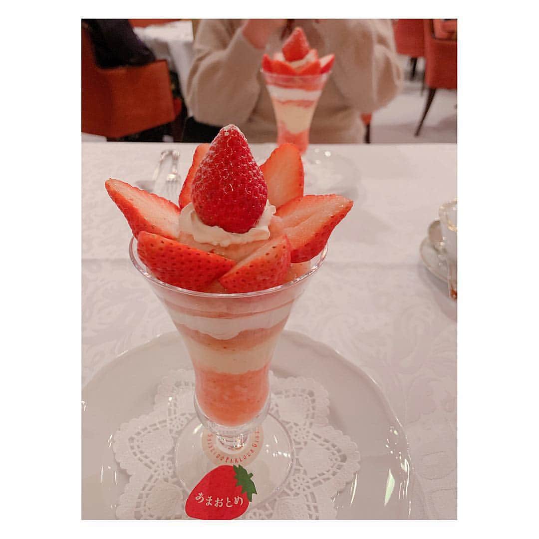 小菅晴香さんのインスタグラム写真 - (小菅晴香Instagram)「・ このところ食べ物の投稿が続き、 飯テロしてごめんなさい🥺笑 ・ これは、先日のおでんの後に食べた 〝締めパフェ〟です🤤🍓 ・ （⚠️1枚目は親友の手ブレにより 純喫茶風フィルターかけてみました☕️笑） ・ ・ ・ そして食べ物といえば… 最新の食について取材してきましたよ🎤 ・ びっくり仰天の連続でした😳✨ ・ 明日のOha!4 Oha!ライフのコーナーで 皆様にも驚いて頂きたいです🎶 ・ ・ ・ ・ ・ #oha4newslive #oha4 #おはよん #ohaライフ #おはライフ #フーデックスジャパン2019 #フーデックス #いちごパフェ #しめパフェ #締めパフェ #資生堂パーラー #小菅晴香 #フリーアナウンサー #セントフォース #🍓」3月6日 17時49分 - haruka.kosuge