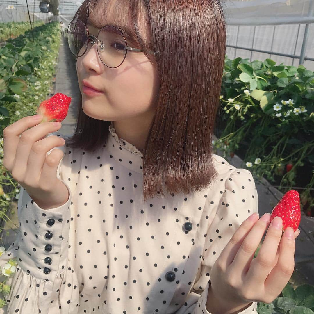 北野瑠華さんのインスタグラム写真 - (北野瑠華Instagram)「いちご狩りしてきた🍓」3月6日 21時32分 - rukakitano0525