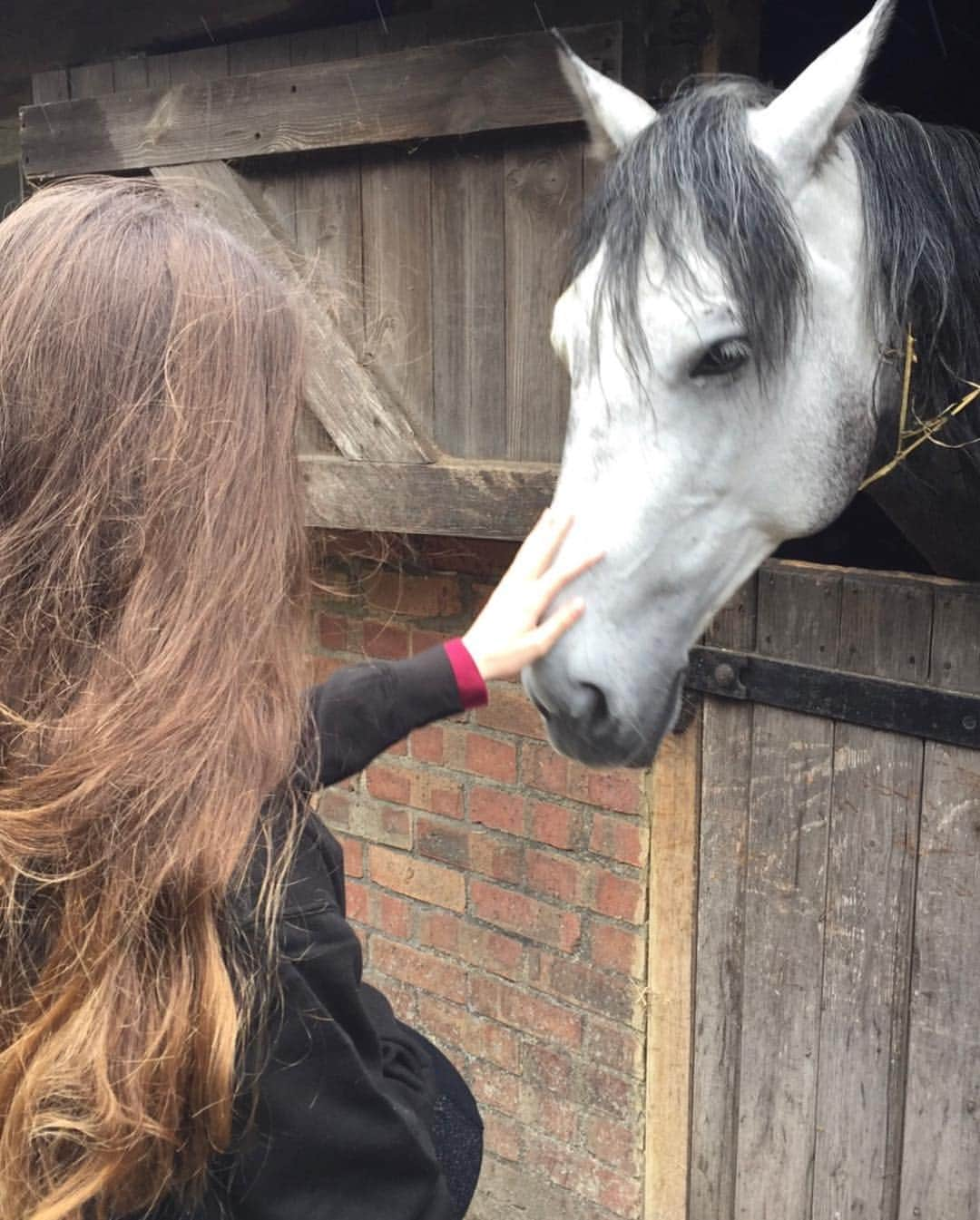 マッケンジー・フォイさんのインスタグラム写真 - (マッケンジー・フォイInstagram)「I found theses from my @disneysnutcracker training days. Definitely loved talking to all the horses.  Also that was probably the prettiest sunset I’ve ever seen. 😌🐎」3月7日 3時25分 - mackenziefoy