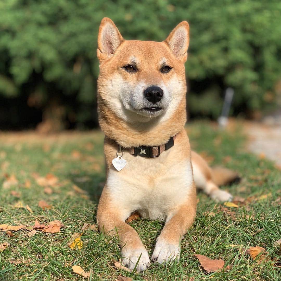 じぇっとさんのインスタグラム：「I’m so happy🥳❤️」