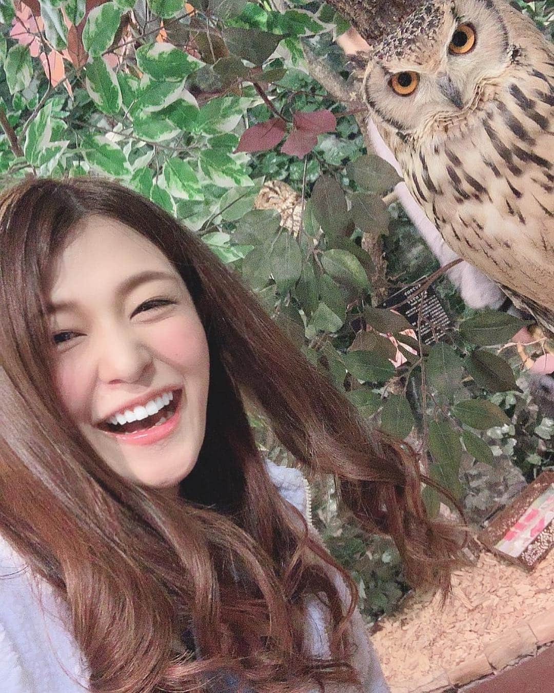 橘メアリーさんのインスタグラム写真 - (橘メアリーInstagram)「・ ・ 🦉🦉🦉🦉🦉🦉🦉🦉🦉🦉 お友達とフクロウカフェ？ (カフェじゃなかったけど) 行ってきたよー୨୧⑅*. かわゆかった！！ ・ ・ 豆柴も行ったから後日載せるね😇 ・ ・ #フクロウカフェ  #原宿 #harajuku  #橘メアリー #橘瑪麗  #セクシー女優 #dj ・ ・ 🦉🦉🦉🦉🦉🦉🦉🦉🦉🦉」3月7日 13時41分 - tachibanamary